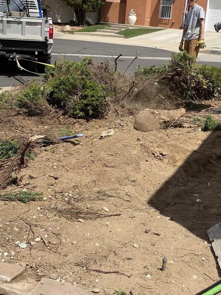 Trusted landscaping services for residential properties across Albuquerque, NM - Trillanes Landscaping
