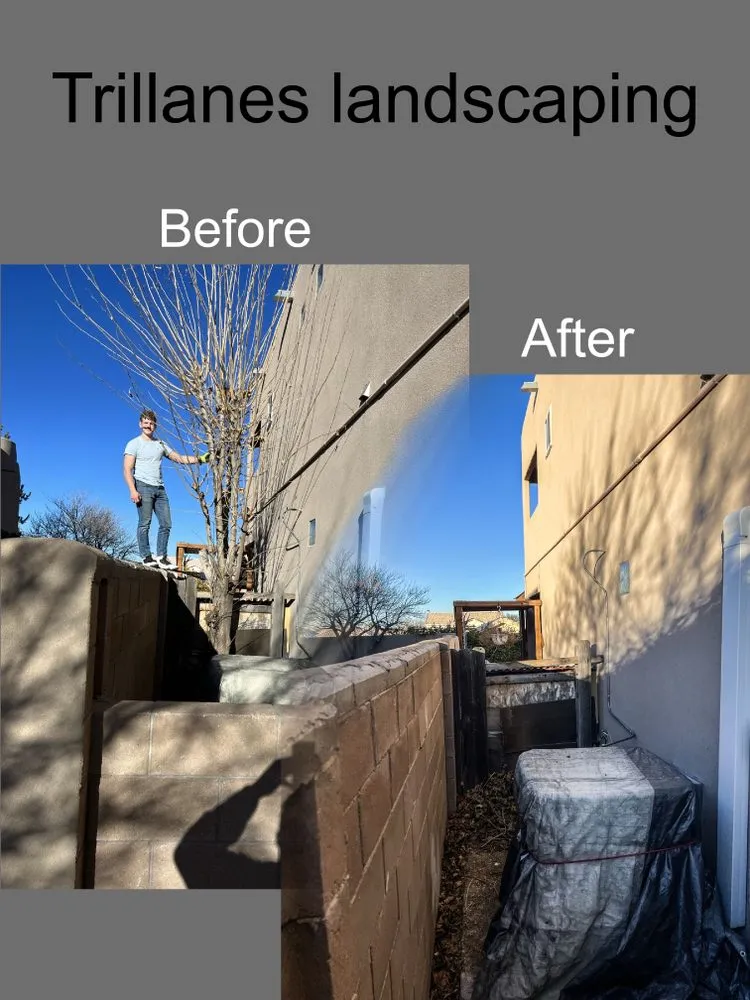 Professional yard cleanup service for beautiful yards across Albuquerque, NM - Trillanes Landscaping