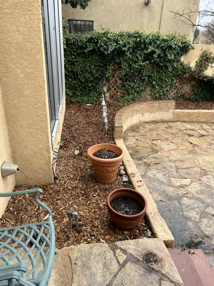 Top-rated yard cleanup service experts serving Albuquerque, NM - Trillanes Landscaping