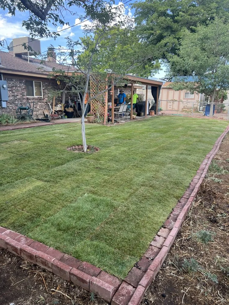Affordable landscape installation in Albuquerque, NM by Trillanes Landscaping