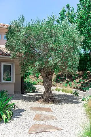 Trusted landscape design for homes across Westlake Village, CA - Trilling Landscape Design & Build