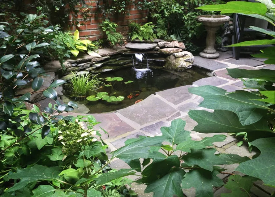 Top-rated lawn care service in New York, NY - Trillium Landscape Design