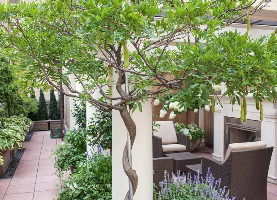 Reliable landscape design near you across New York, NY - Trillium Landscape Design