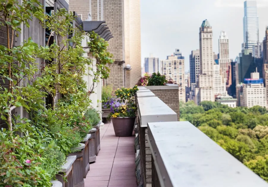 Expert yard maintenance near you across New York, NY - Trillium Landscape Design