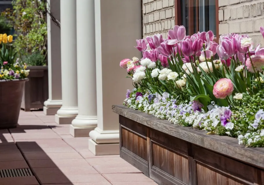 Expert lawn care service in New York, NY by Trillium Landscape Design