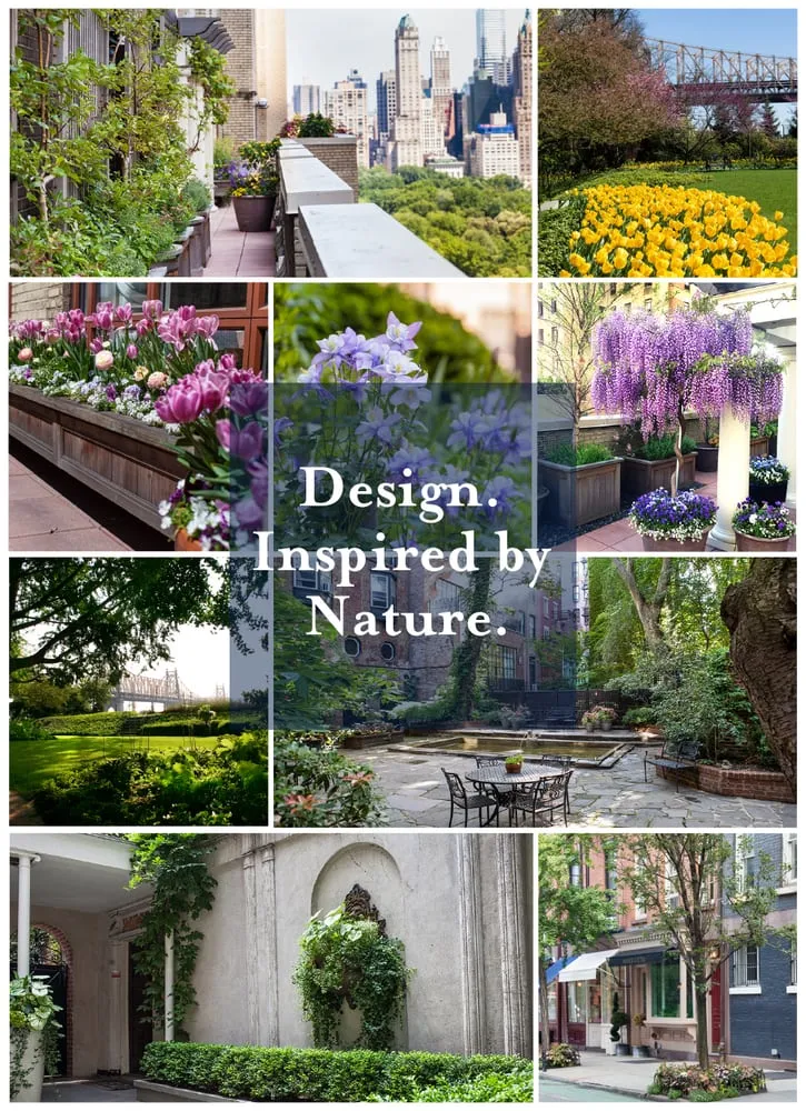 Trusted yard cleanup service in New York, NY - Trillium Landscape Design