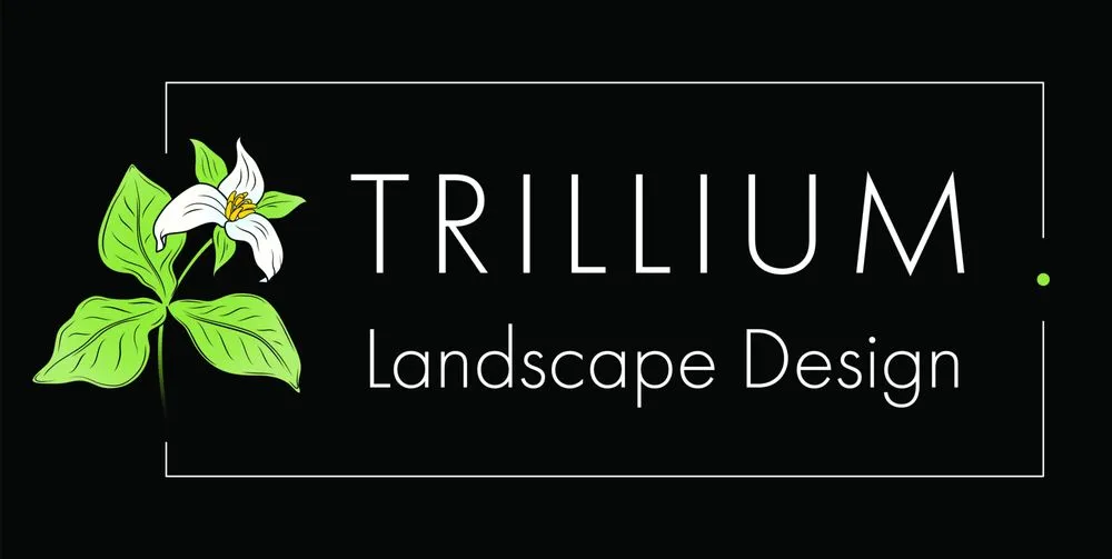 Top-rated lawn mowing service in Seattle, WA by Trillium Landscape Design