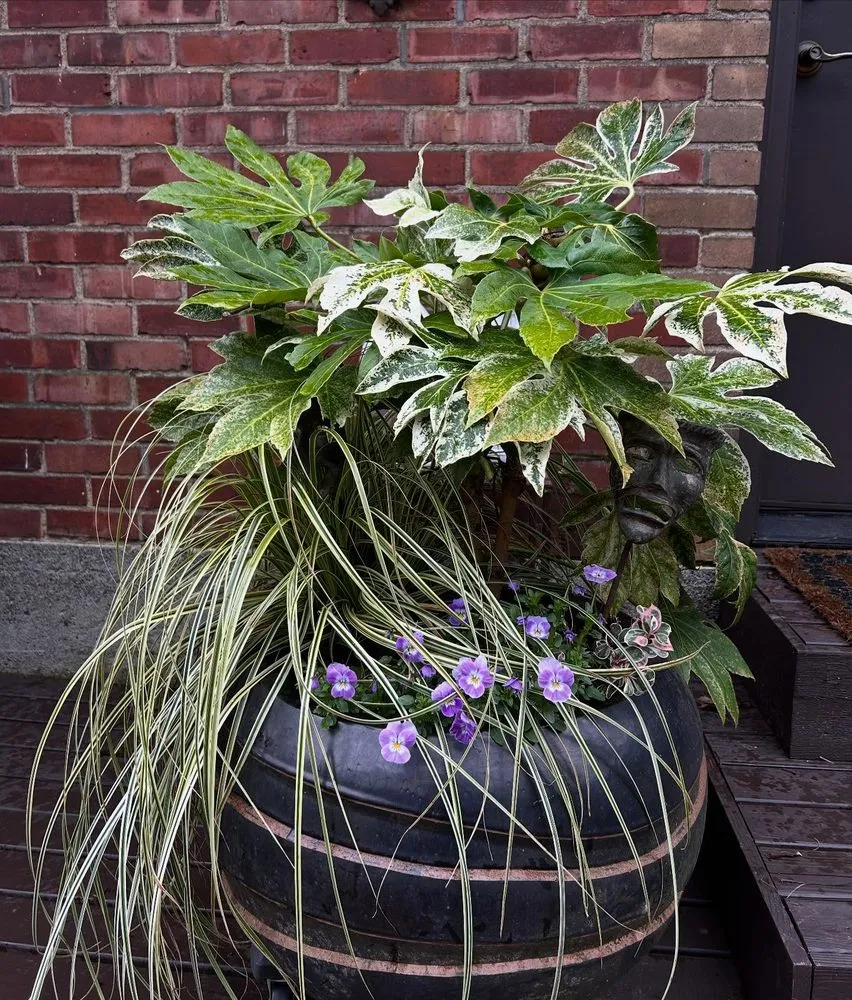 Affordable garden landscaping in Seattle, WA - Trillium Landscape Design