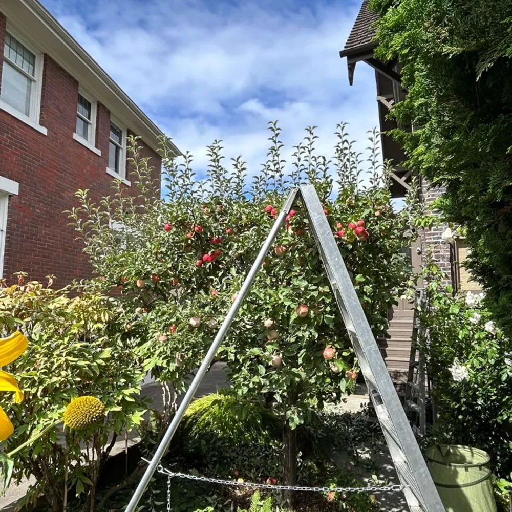 Reliable landscape design for beautiful yards across Seattle, WA - Trillium Landscape Design