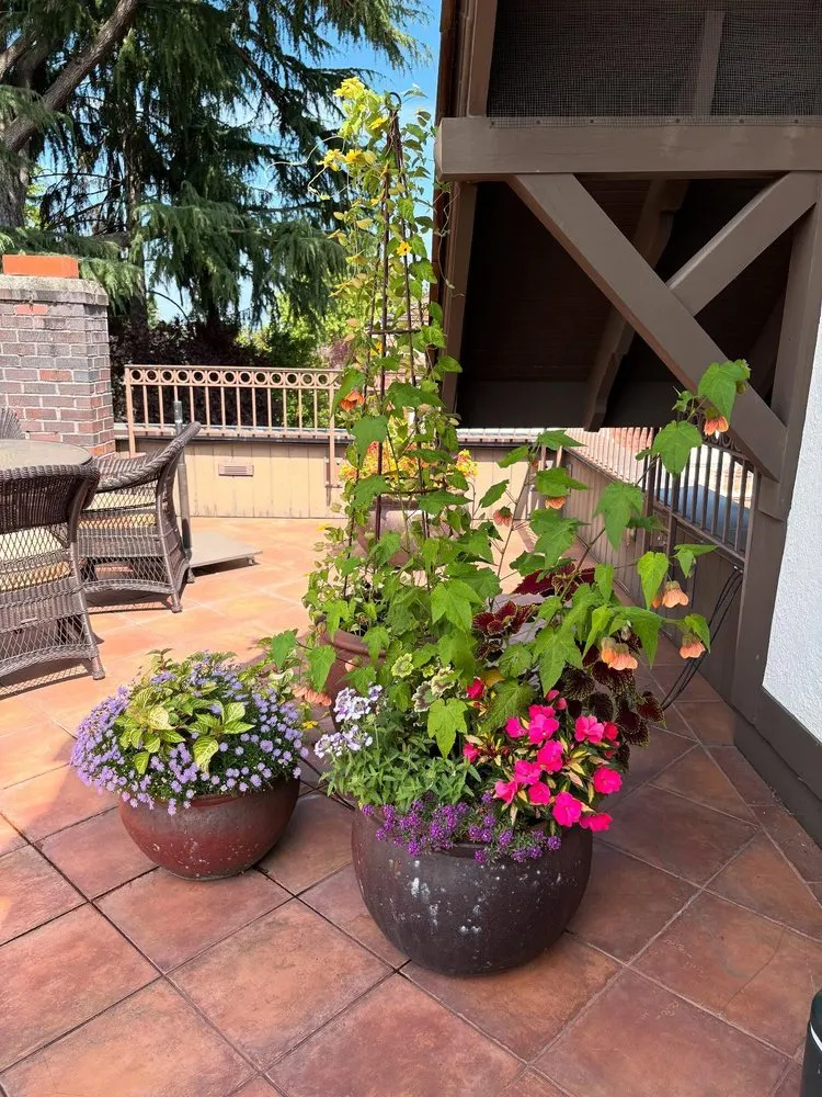 Professional outdoor landscaping experts serving Seattle, WA - Trillium Landscape Design