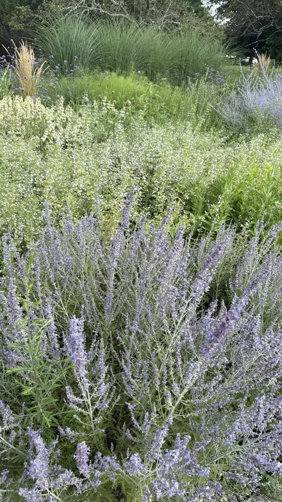 Affordable garden landscaping experts serving West Windsor, NJ - Trillium Outside