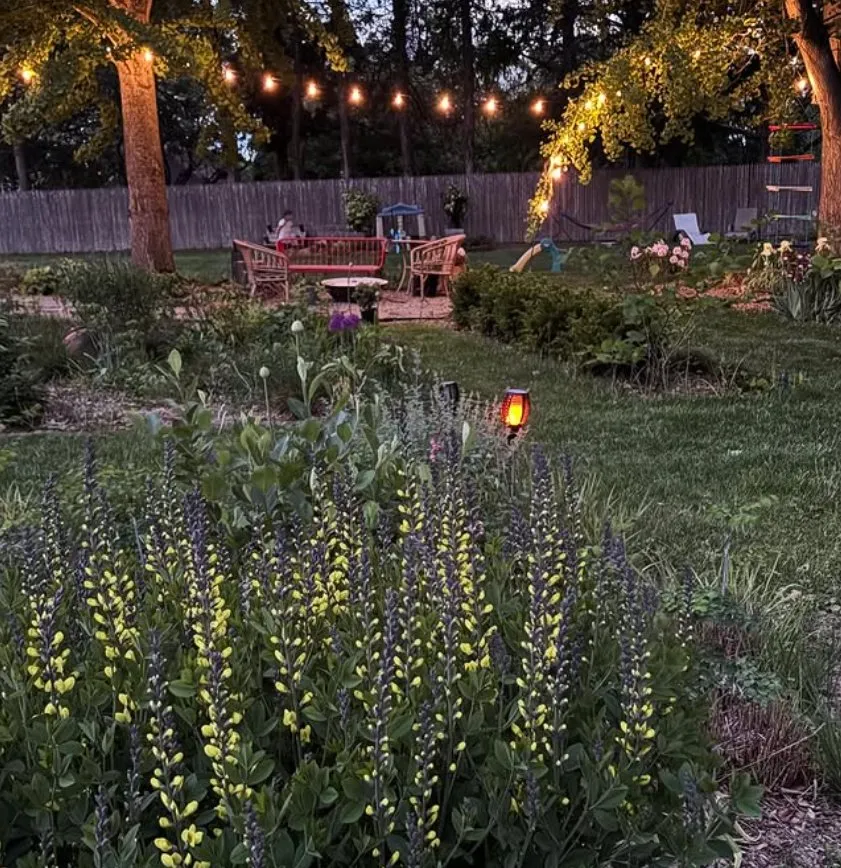 Reliable yard maintenance in West Windsor, NJ - Trillium Outside