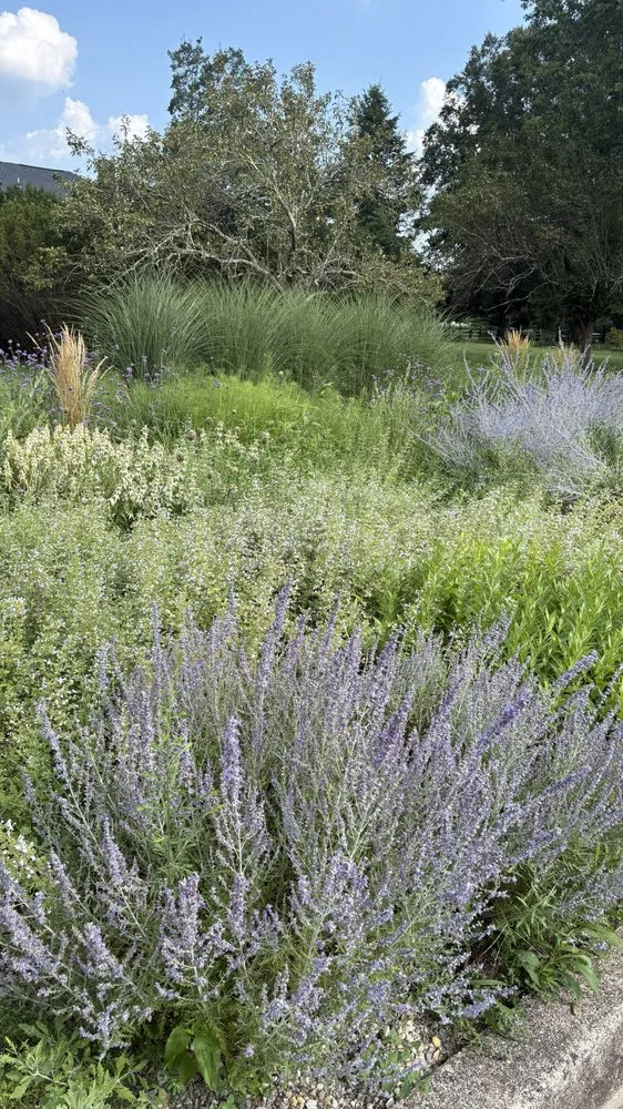 Custom landscape design for year-round maintenance across West Windsor, NJ - Trillium Outside