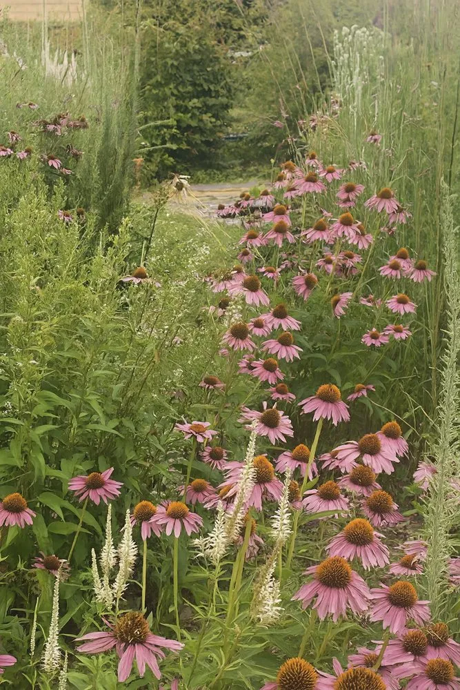 Top-rated outdoor landscaping experts serving West Windsor, NJ - Trillium Outside