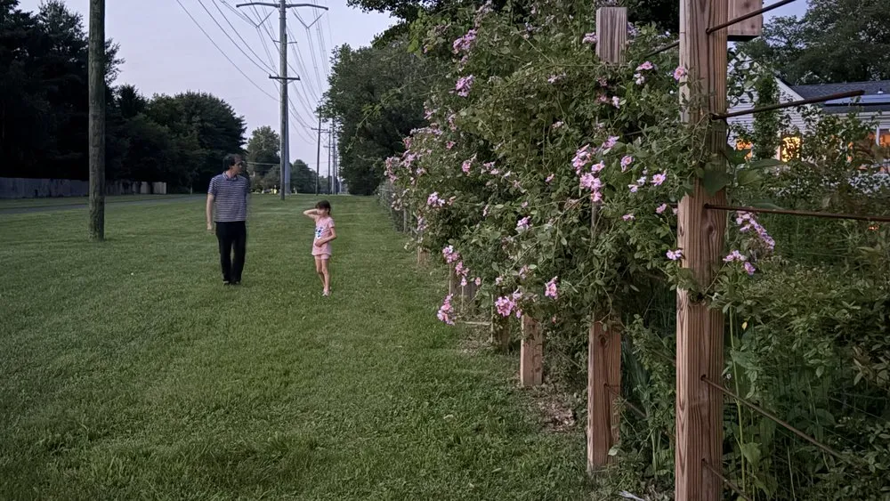 Reliable landscape design near you in West Windsor, NJ by Trillium Outside