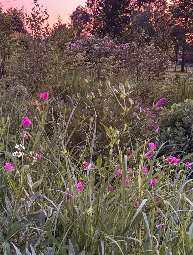 Affordable outdoor landscaping for outdoor upgrades in West Windsor, NJ by Trillium Outside