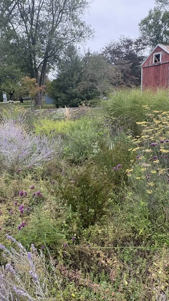 Custom residential landscaping near you across West Windsor, NJ - Trillium Outside