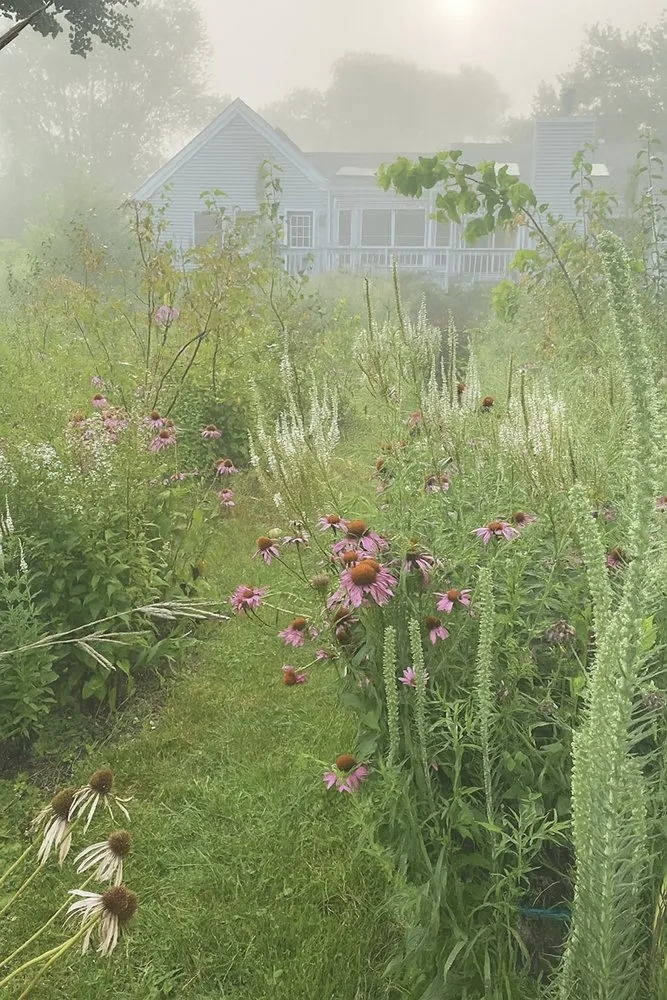 Professional landscape design in West Windsor, NJ - Trillium Outside