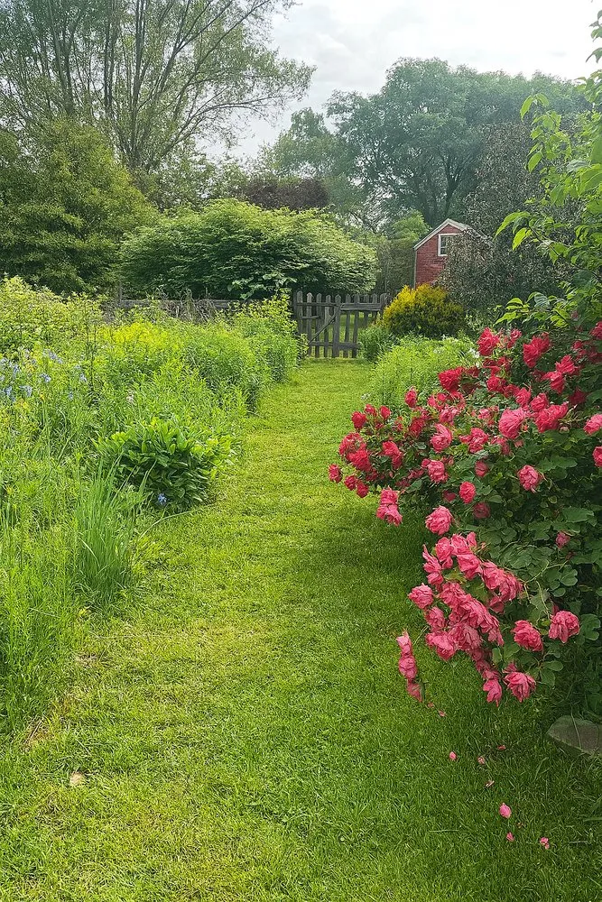 Reliable landscape installation for residential properties across West Windsor, NJ - Trillium Outside