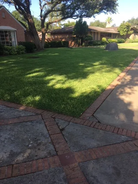 Custom yard cleanup service near you across Midland, TX - Trilogy Fertilization and Weed Control