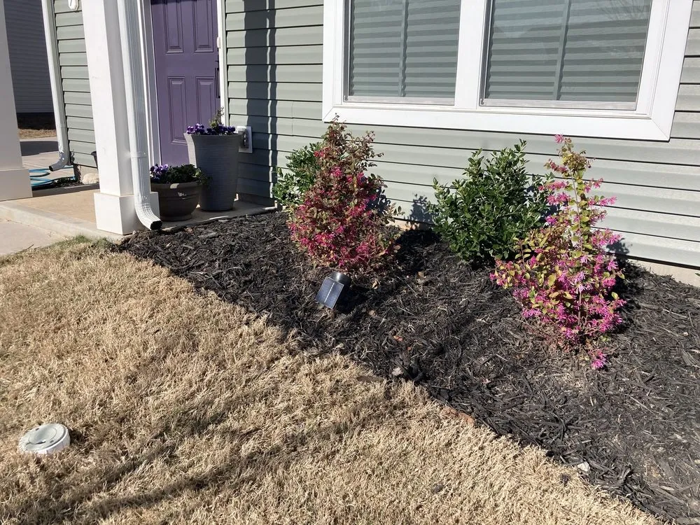 Expert lawn care service near you in Woodruff, SC by Trilogy Lawncare