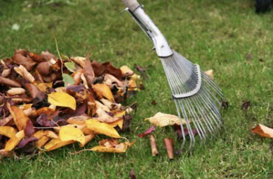 Affordable yard cleanup service in Woodruff, SC - Trilogy Lawncare