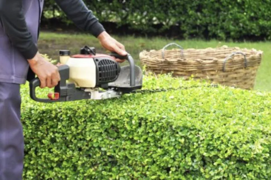 Trusted yard cleanup service in Woodruff, SC - Trilogy Lawncare