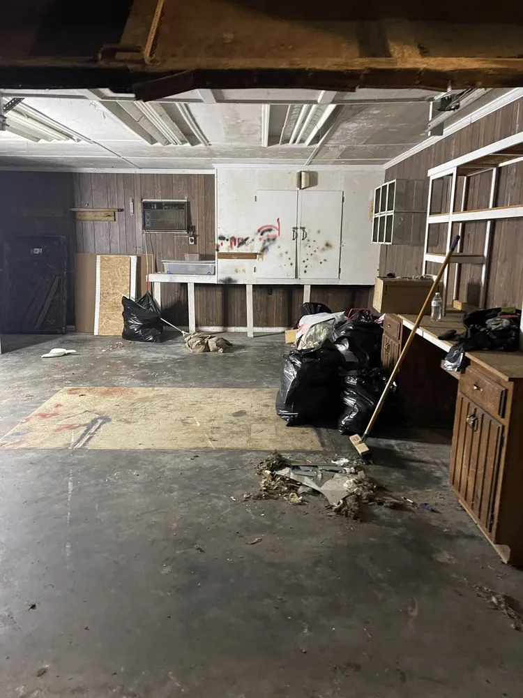 Trusted lawn care service in Jacksonville, NC - Trim & Beyond