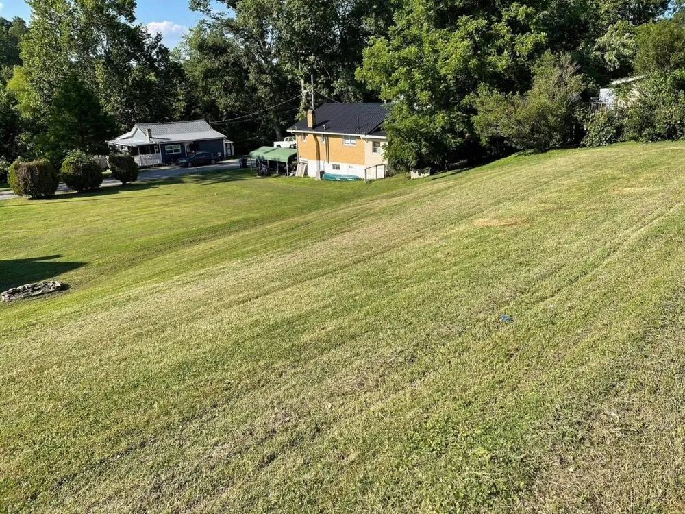 Top-rated residential landscaping near you across South Shore, KY - Trim & Edge Lawn care