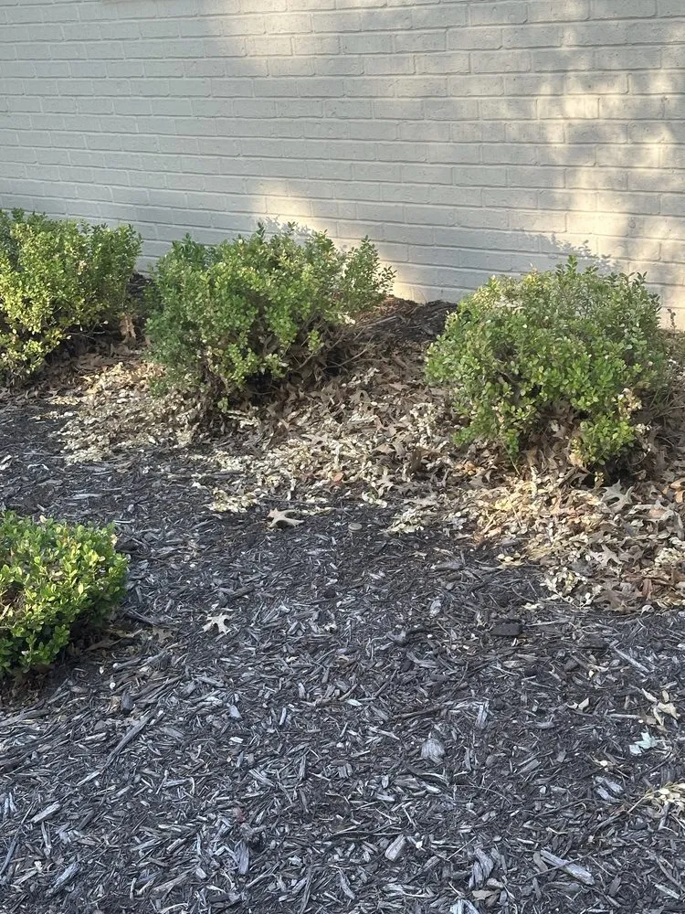 Reliable outdoor landscaping in Wichita, KS by Trim & Haul