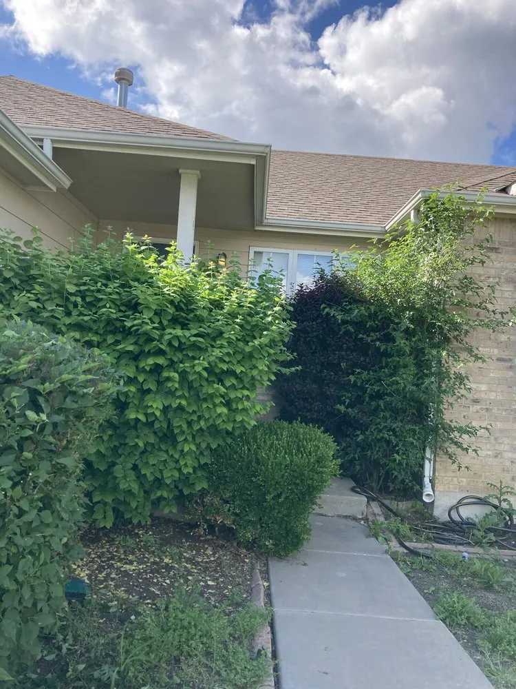 Reliable residential landscaping for beautiful yards across Wichita, KS - Trim & Haul