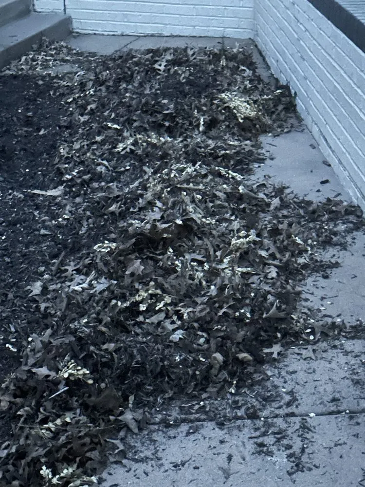 Custom landscape design for homes across Wichita, KS - Trim & Haul