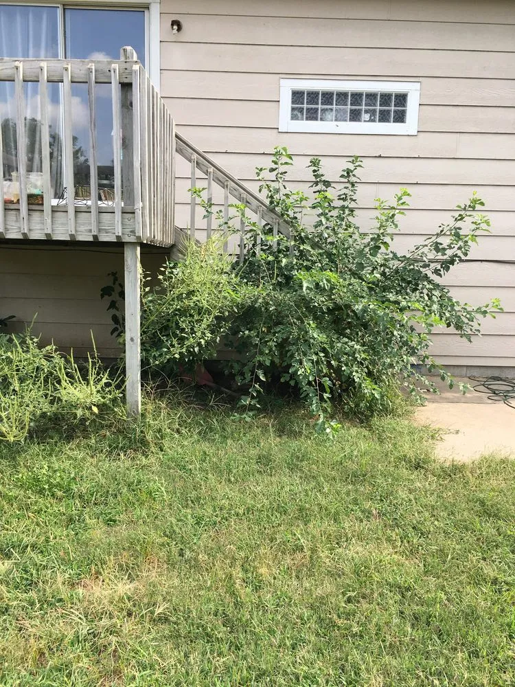 Expert garden landscaping experts serving Wichita, KS - Trim & Haul