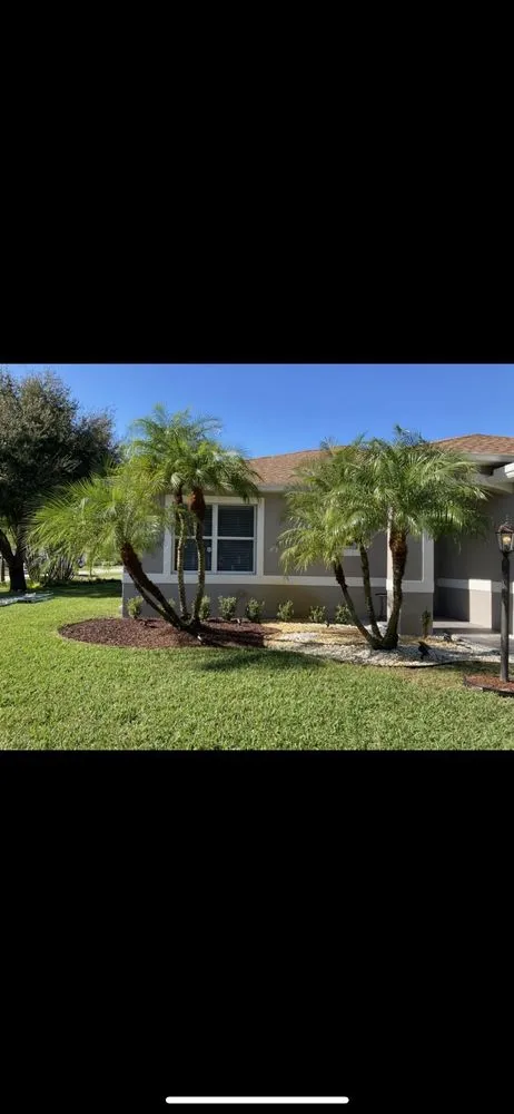 Professional landscaping services experts serving Vero Beach, FL - Trim + Proper Landscaping