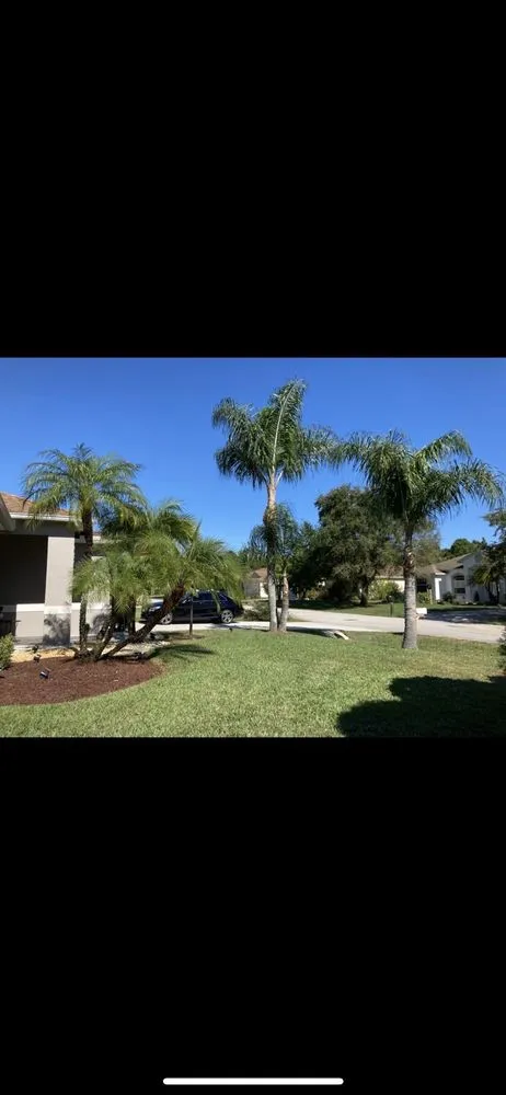 Trusted landscape installation for year-round maintenance across Vero Beach, FL - Trim + Proper Landscaping