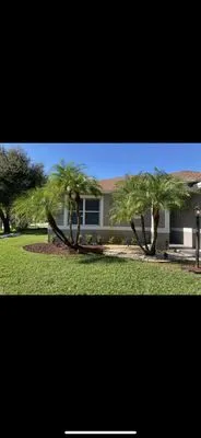 Trim + Proper Landscaping Logo