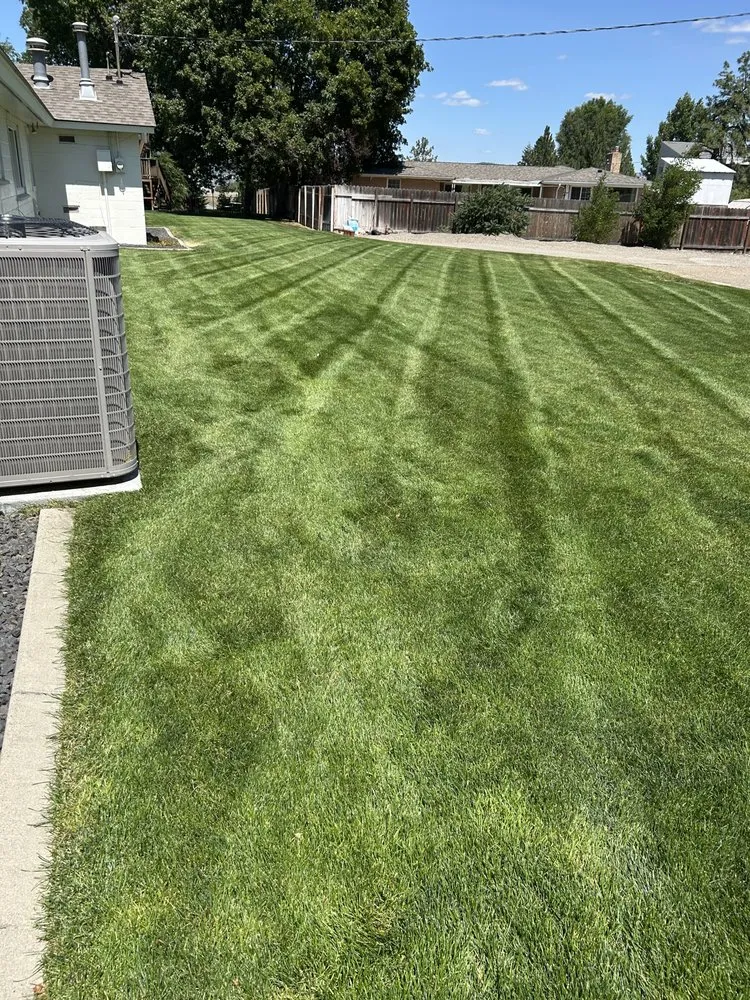 Expert yard cleanup service in Spokane, WA by Trim & Toss