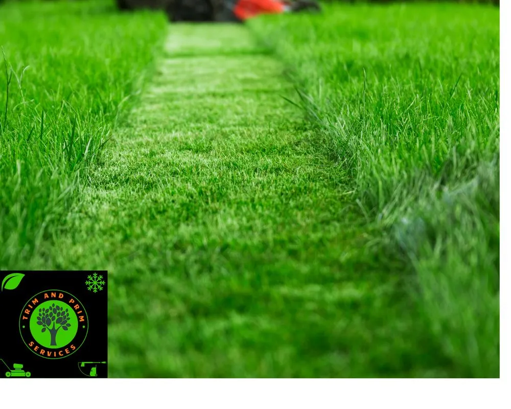 Custom yard maintenance in Fort Wayne, IN by Trim and Prim Services