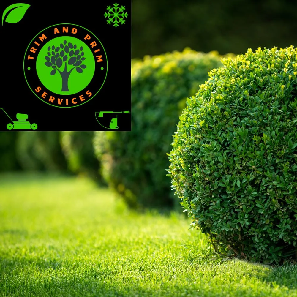 Affordable residential landscaping for residential properties in Fort Wayne, IN by Trim and Prim Services