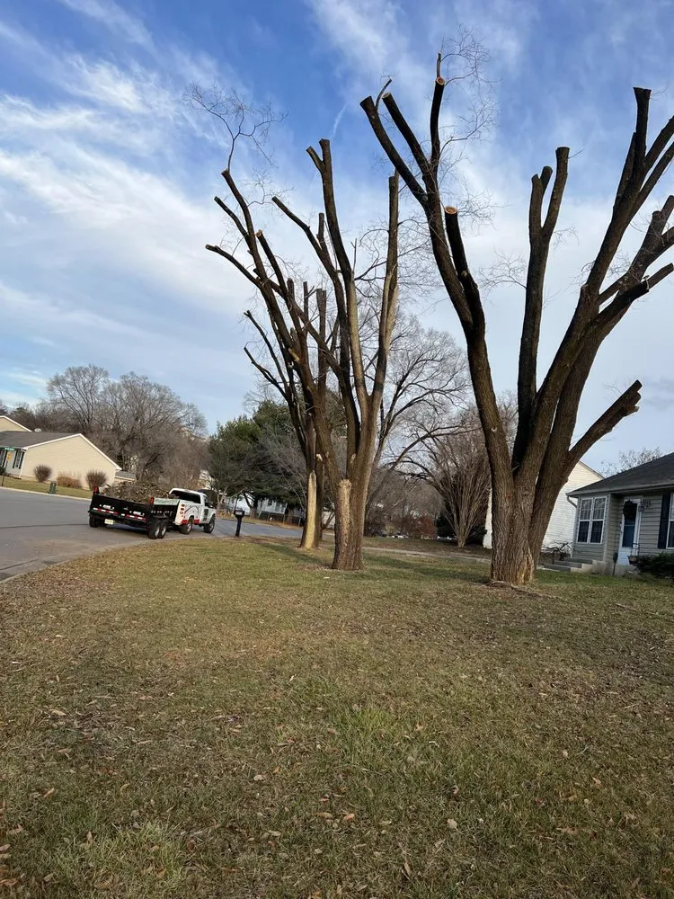 Top-rated landscape installation experts serving Roanoke, VA - Trim Away