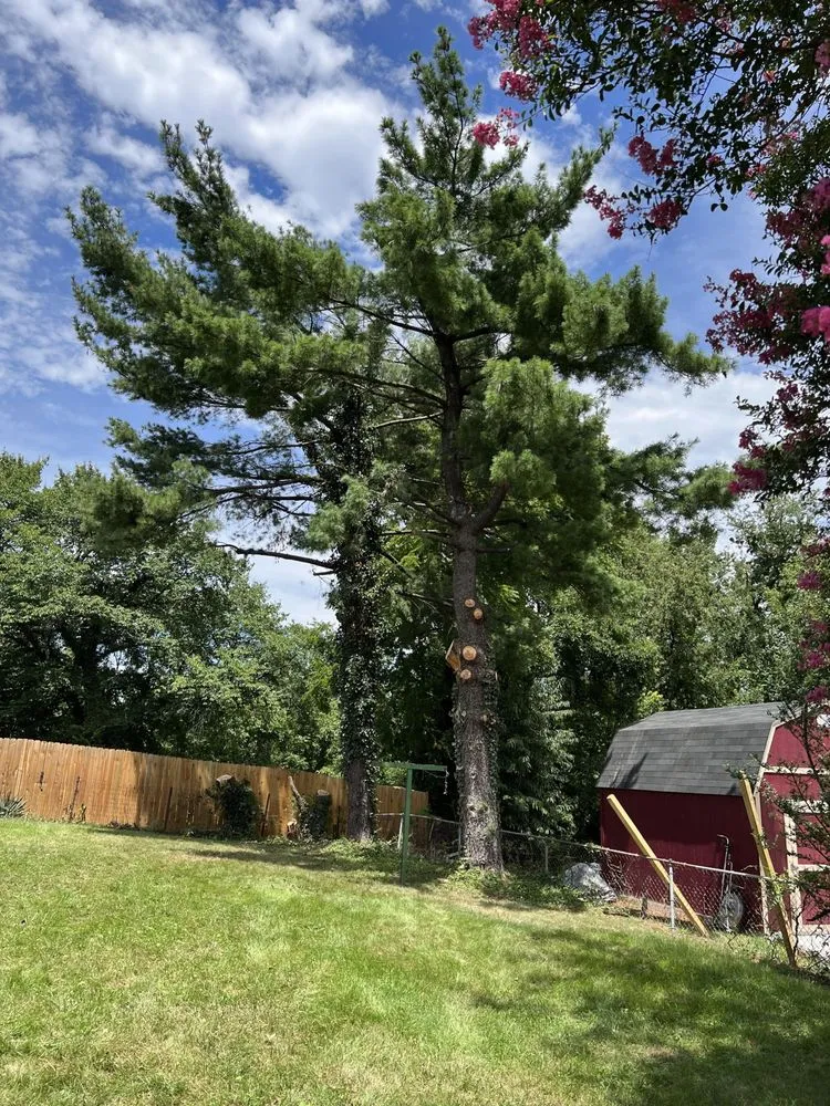 Trusted lawn mowing service for beautiful yards in Roanoke, VA by Trim Away