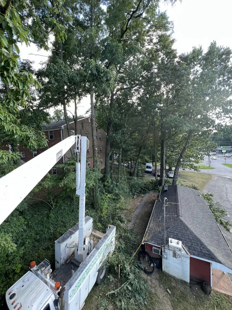 Professional landscape installation experts serving Roanoke, VA - Trim Away