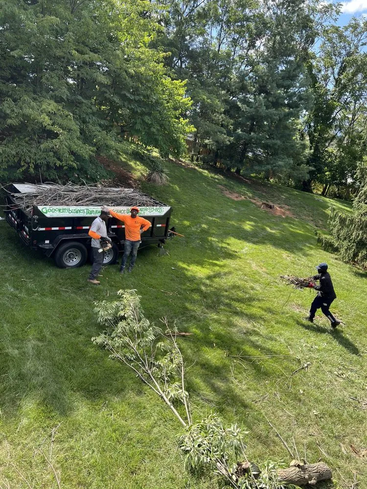 Affordable landscaping services experts serving Roanoke, VA - Trim Away