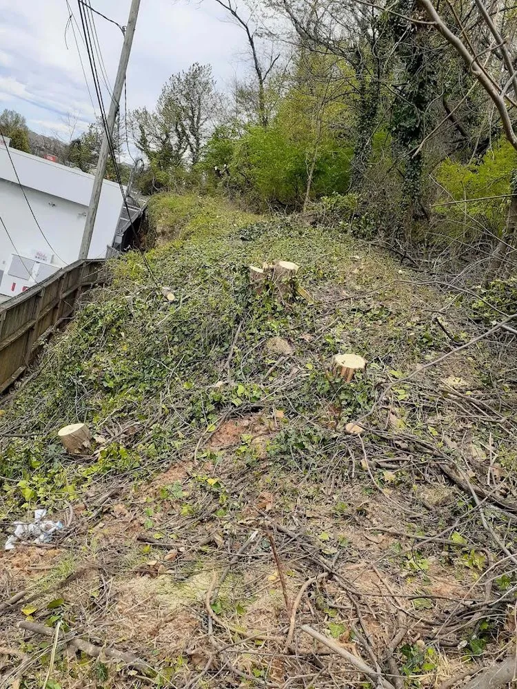 Trusted yard maintenance experts serving Roanoke, VA - Trim Away