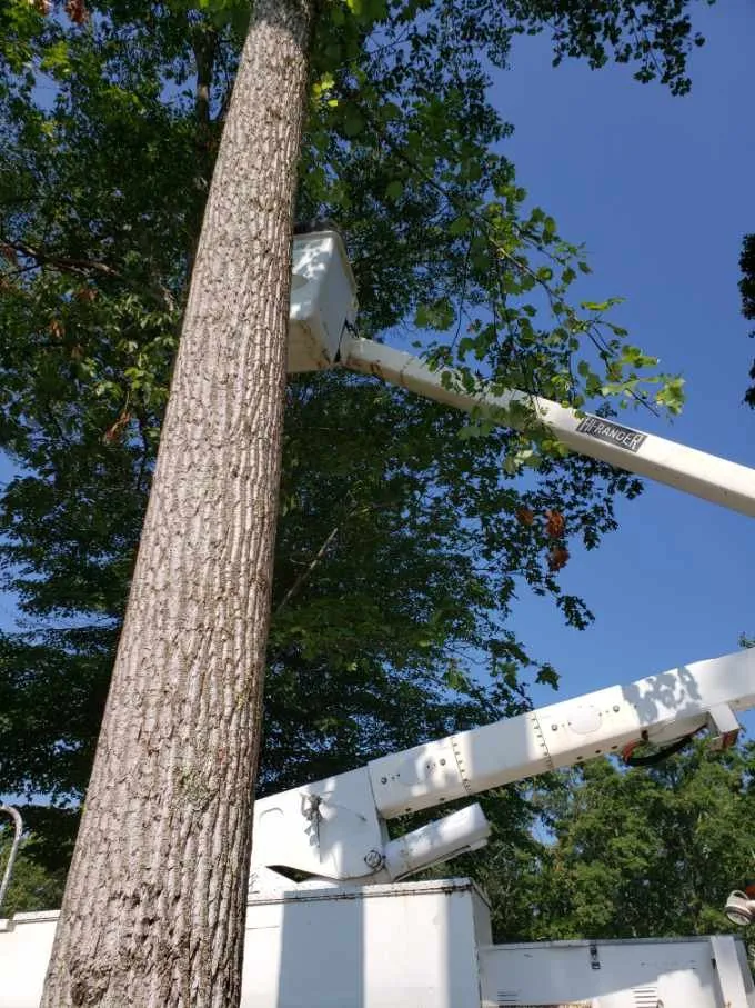 Top-rated garden landscaping for beautiful yards across Roanoke, VA - Trim Away