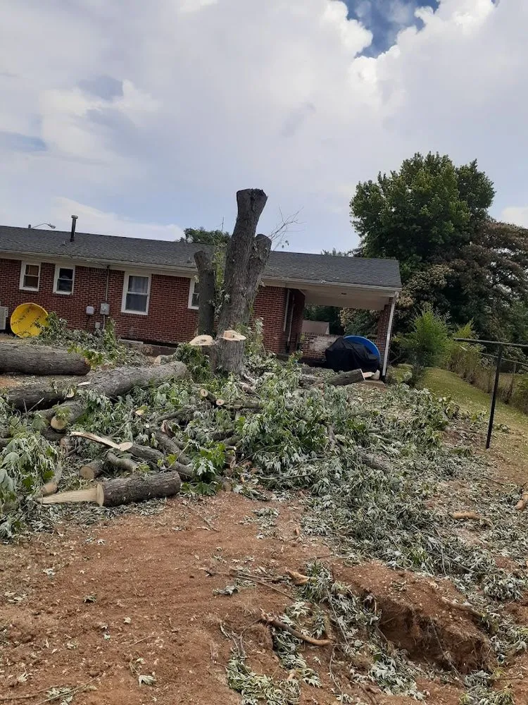 Local yard cleanup service experts serving Roanoke, VA - Trim Away