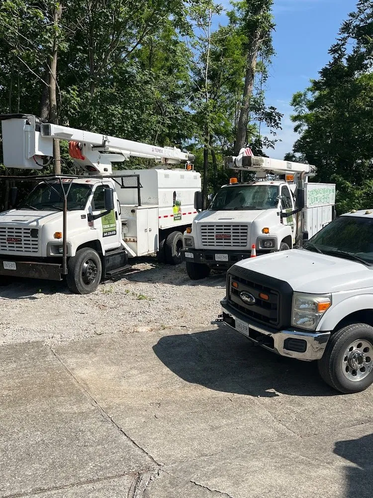 Top-rated lawn care service for residential properties across Roanoke, VA - Trim Away