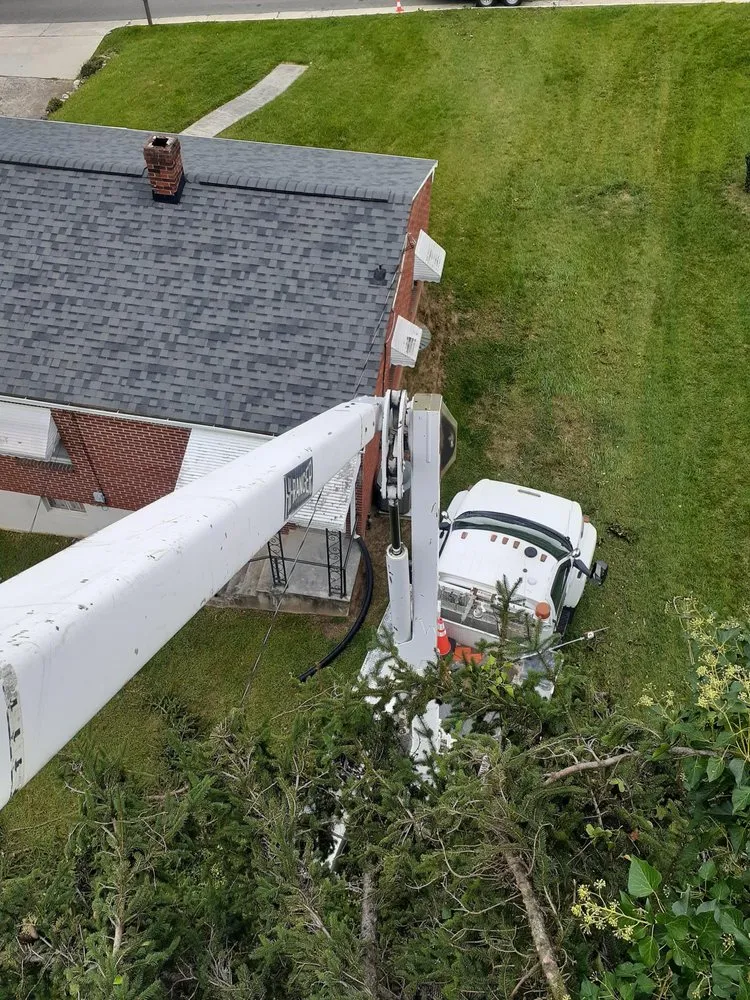 Top-rated landscape installation experts serving Roanoke, VA - Trim Away