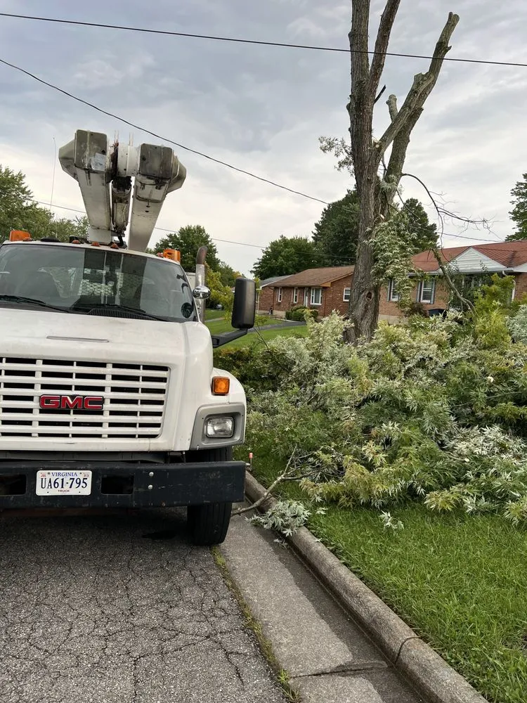 Professional landscape design in Roanoke, VA by Trim Away