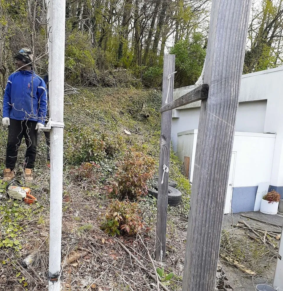 Trusted yard cleanup service for homes across Roanoke, VA - Trim Away